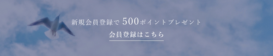 新規会員登録で500ポイントプレゼント 会員登録はこちら