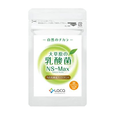 大草原の乳酸菌 「NS-Max」36粒