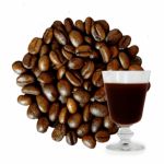 原種の野生コーヒー 豆 150g