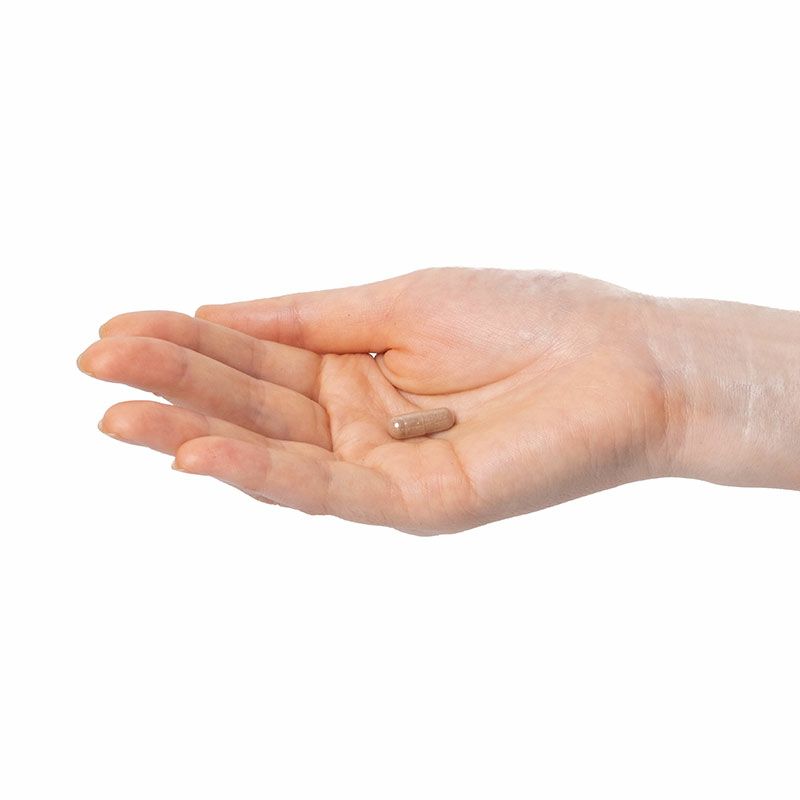 エイジリリース 60粒