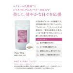 フェム リズム 60粒