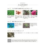 【定期便／送料無料】エイジリリース 60粒