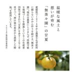 クリーミー ホイップソープ 甘夏＆フランキンセンス 150mL
