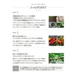 【定期便／送料無料】ビューティ クリア ブライト 30粒 再申込者様