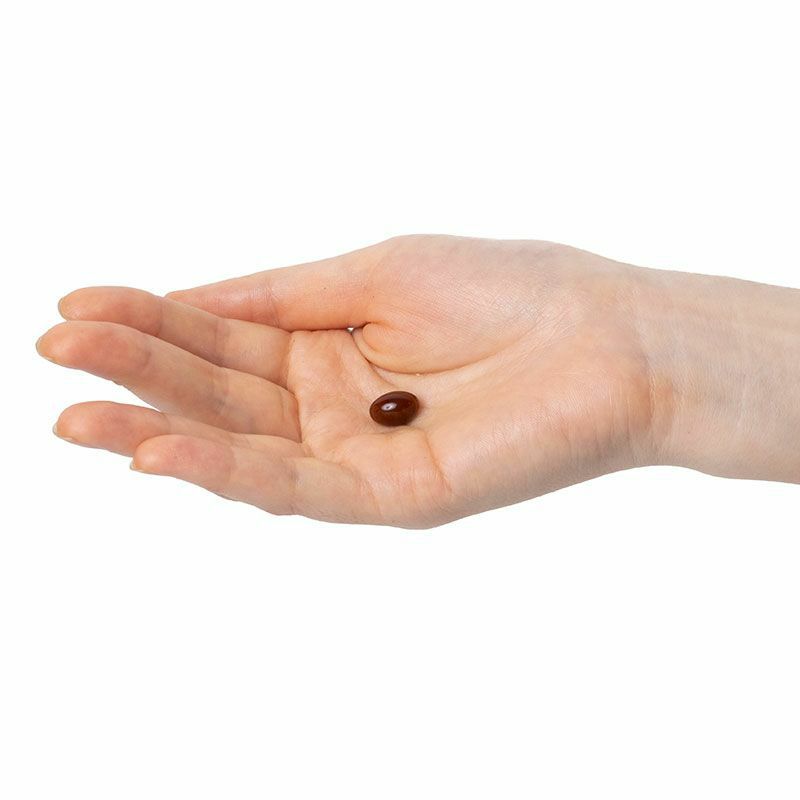 アスタクリルオイル OMEGA3 21粒