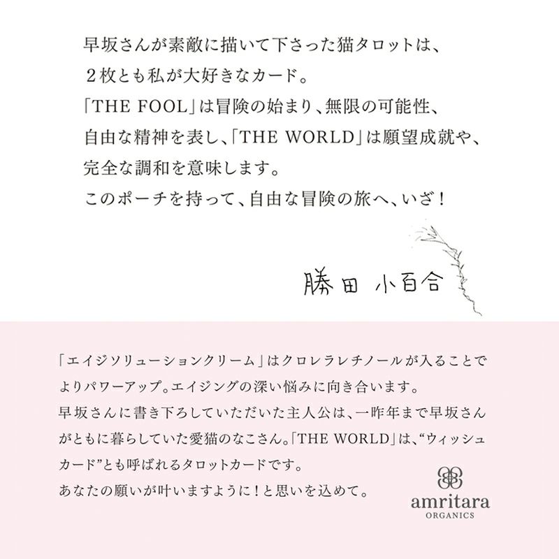 エイジ ソリューション ウィッシュ キット